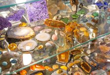 Автобусная экскурсия в музей СПБГУ «От динозавров до кристаллов », 9+