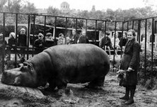 Автобусная экскурсия с посещением музея «Ленинградский зоосад в годы блокады», 7+