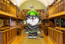Автобусная экскурсия-квест «Приключения в Книжляндии с Котом Ученым», 7+