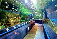 «20 000 ЛЬЁ ПОД ВОДОЙ»