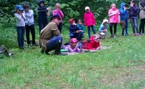 wp_20150624_066.jpg