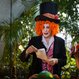 Квест в Зимнем саду «Заколдованный лес Алисы»